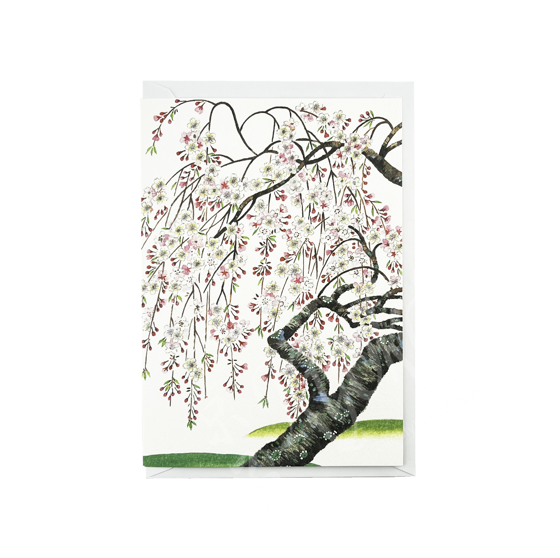 65-316: Briefkarte Sakura-Baum 11,5x16,5 cm